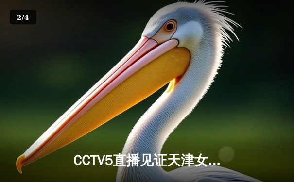 CCTV5直播见证天津女排世俱杯逆袭，李盈莹独砍28分率队力克巴西劲旅 - 2